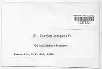 Image Associated With the Occurence